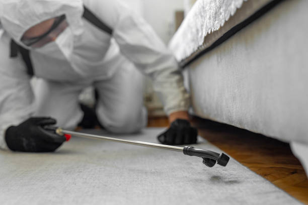 Professional Bed Bug Control technician working in Burke, VA