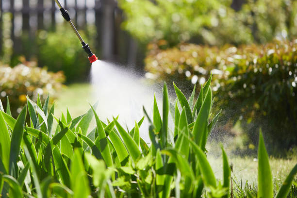 24/7 Emergency Bed Bug Control experts in Burke, VA
