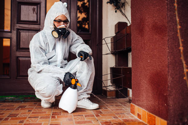 Reliable Bed Bug Control contractor in Burke, VA by Nex Pest Control